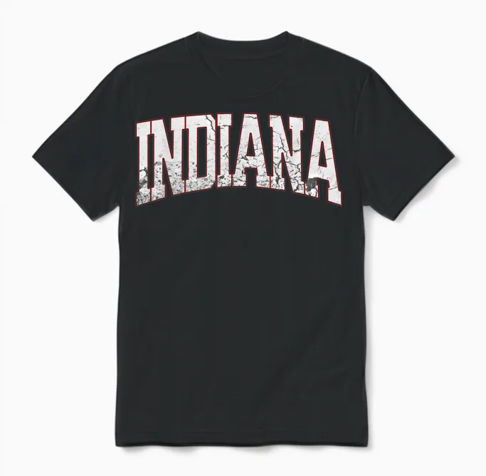 Indiana Vintage City Unisex T-Shirt in Black