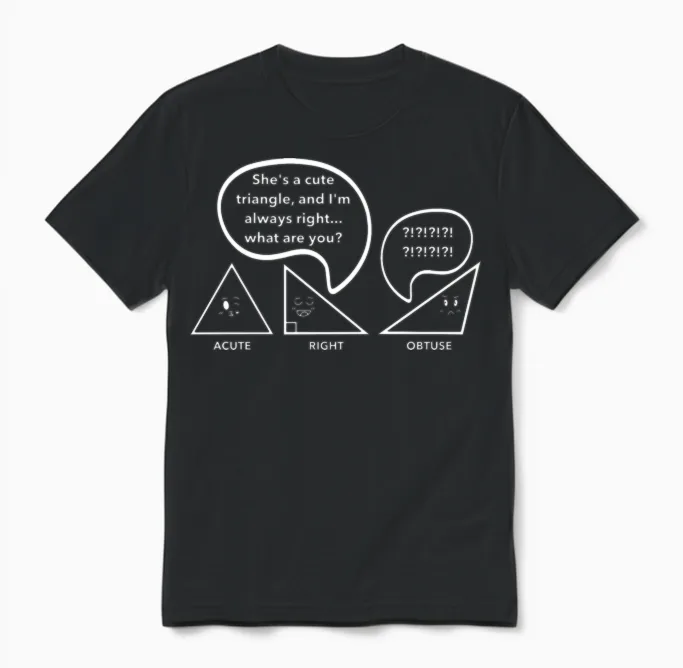 Math Jokes, Nerdy Humor, I'm Always Right Math Pun Unisex T-Shirt in Black