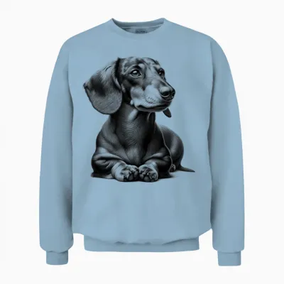 Super Cute Dachshund in Lying Pose as Cool Portrait T-Shirt, Gray Unisex Sweatshirt - Light Blue
