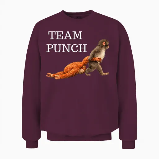 Team Punch Baby Monkey Punch Trend Meme Graphic Unisex Sweatshirt - Maroon