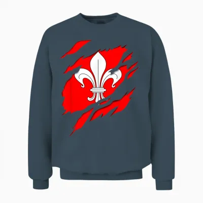 Flag Lille Coat of Arms Torn with 3d Effect. France Unisex Sweatshirt - Dark Heather