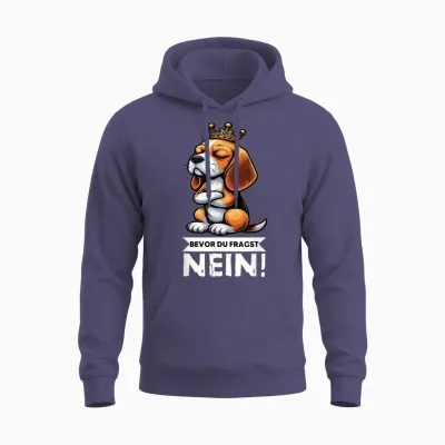 Bevor Du Fragst Nein Beagle Beagle Owner Beagle Lover Unisex Hoodie - Heather Sport Dark Navy