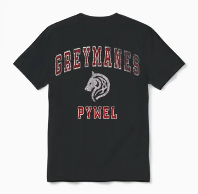 Distressed Greymanes Crimson Desert Pywel Funny Design Unisex T-Shirt - Black