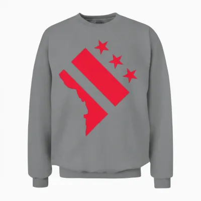 Washington D.c. Unisex Sweatshirt - Sport Grey