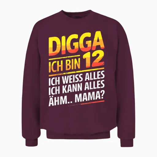 12th Birthday Boy Girl 12 Years 2013 Funny Gift T-Shirt, Black Unisex Sweatshirt - Maroon