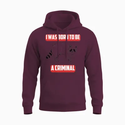 Funny Raccoon Lover Unisex Hoodie - Maroon