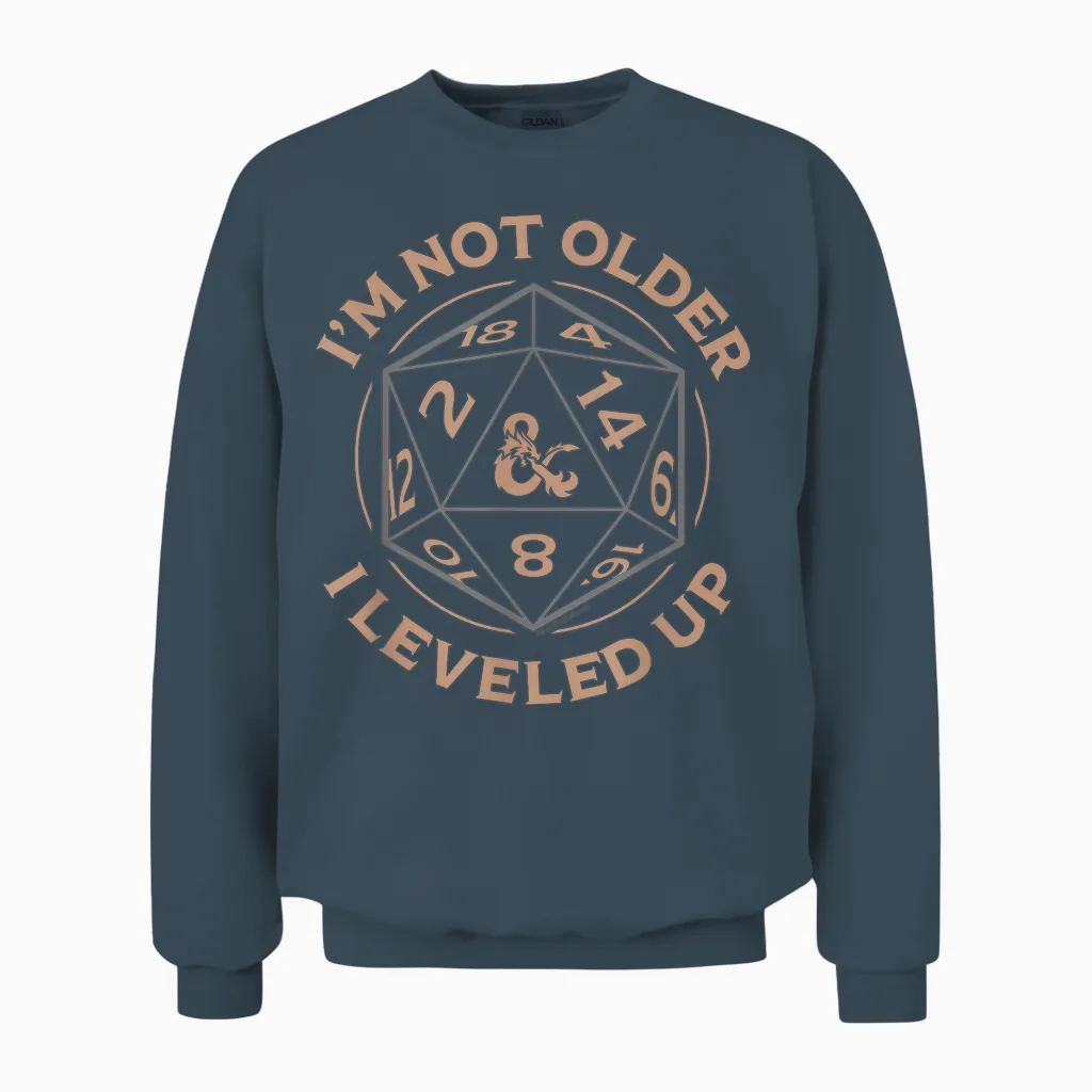 Dungeons & Dragons Birthday Level Up Unisex Sweatshirt in Dark Heather