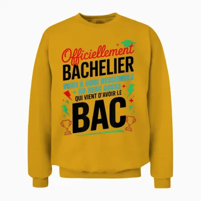 Bac 2025 Bachelor 2026 Baccalaureate Congratulations Bac Humor Unisex Sweatshirt - Gold