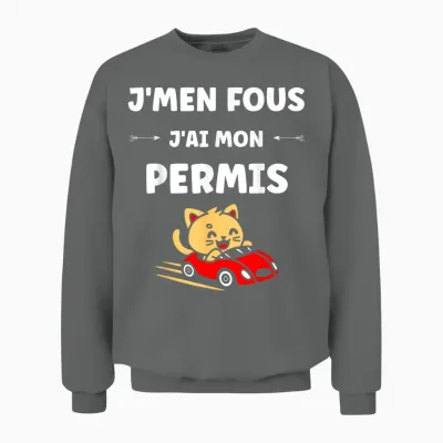 I Don't Care I Have My License Young Humor Driving License Unisex Sweatshirt - Graphite Heather
