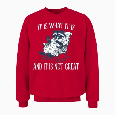 It Is What It Is and It Is Not Great Funny Raccoon Unisex Sweatshirt - Red