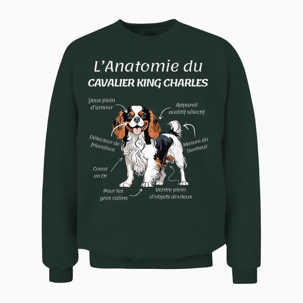 Cavalier King Charles Humour Women's Cavalier King Charles T-Shirt, Black, S Unisex Sweatshirt in Forest