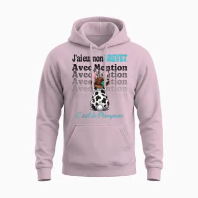 Brevet Des Collèges 2026 Bdc Humour Diplôme Entrée Lycée Unisex Hoodie - Light Pink
