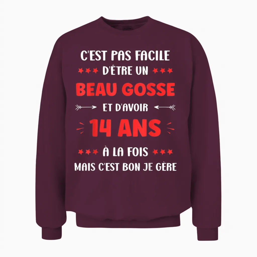 Humour Boy Teen 14 Years Old Handsome Kid Birthday 14 Years T-Shirt, Black, S Unisex Sweatshirt in Maroon