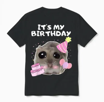It's My Birthday Sad Hamster Meme T-Shirt, Black Unisex T-Shirt - Black