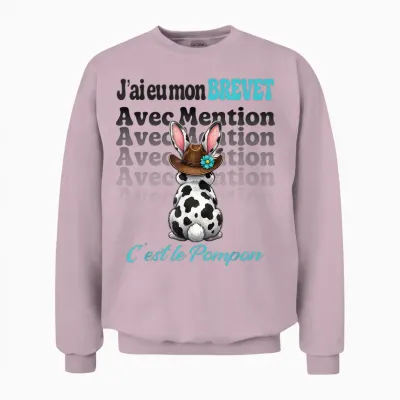Brevet Des Collèges 2026 Bdc Humour Diplôme Entrée Lycée Unisex Sweatshirt - Light Pink
