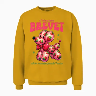 College Brevet 2025 Dog Strawberry Balloon and Success Unisex Sweatshirt - Gold