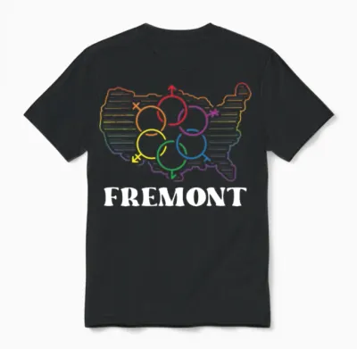 Fremont Pride Flag Pride Month Lgbtq Flag Lgbt Com Unisex T-Shirt - Black