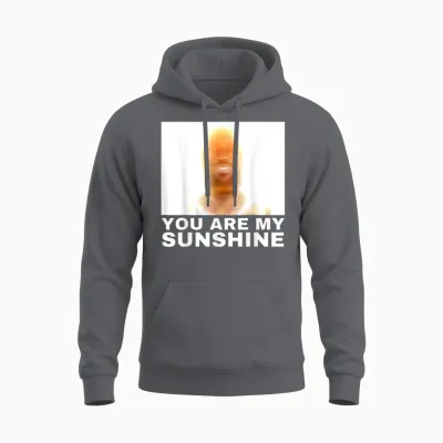 You Are My Sunshine Meme Unisex Hoodie - Charcoal