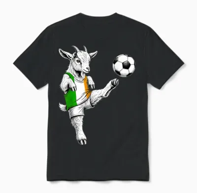 Drapeau Irlandais Pour Hommes, Femmes, Enfants Irlande Unisex T-Shirt - Black