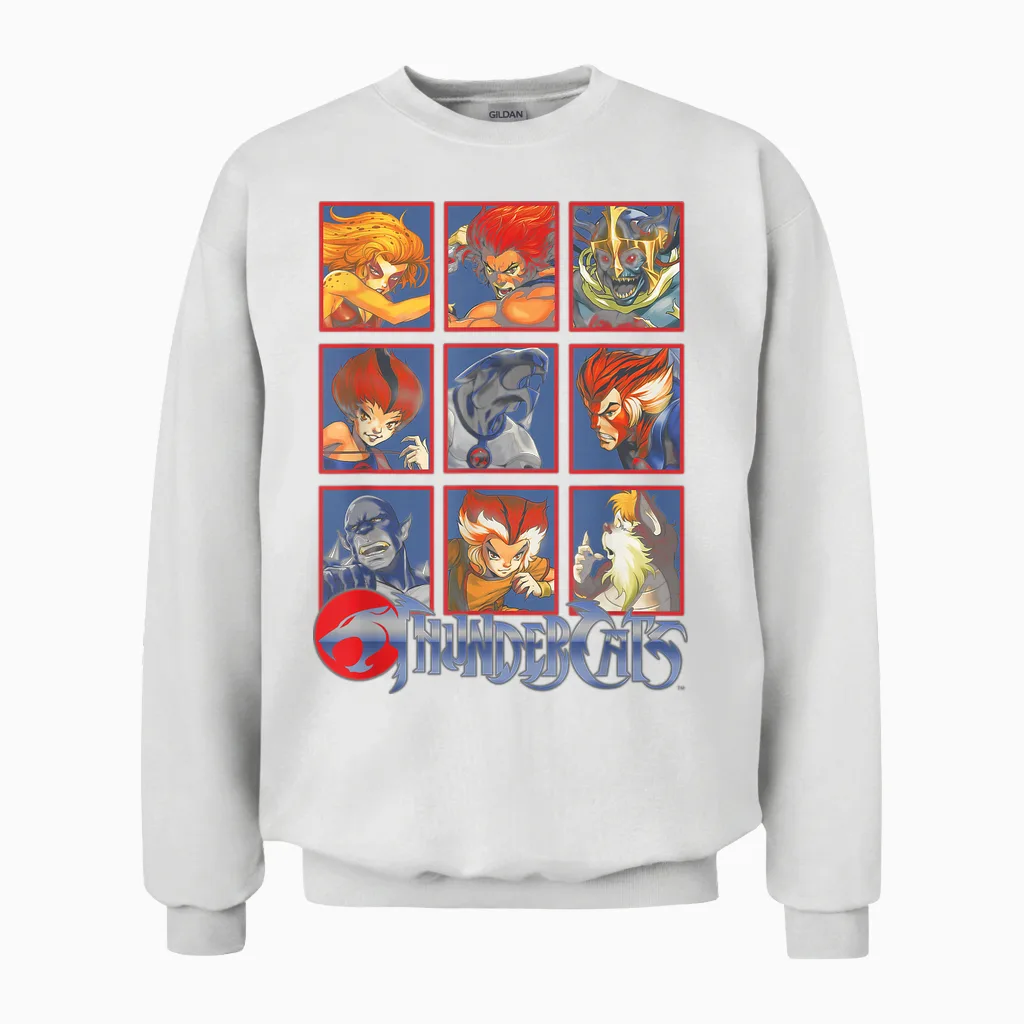 Thundercats Character Boxes Unisex Sweatshirt in White