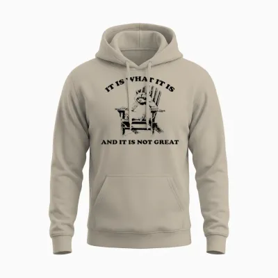 Funny Raccoon It Is What It Is and It Is Not Great T-Shirt, Gray Unisex Hoodie - Sand