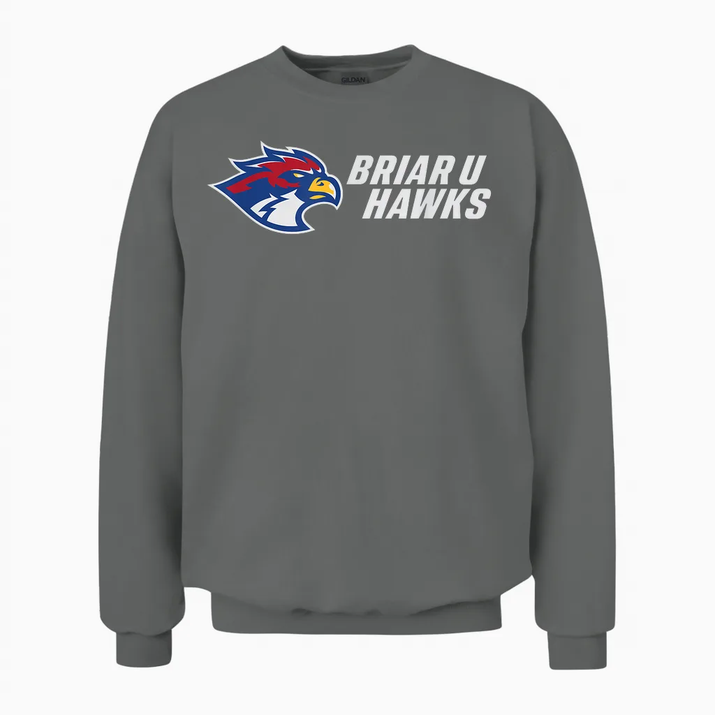 Briar U Hawks Unisex Sweatshirt in Graphite Heather