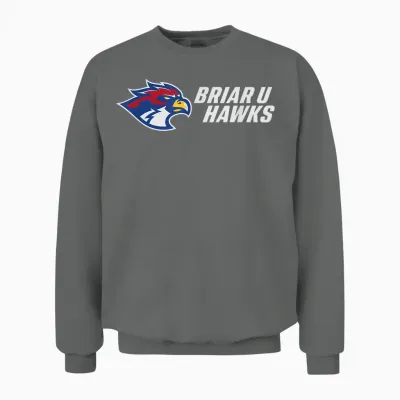 Briar U Hawks Unisex Sweatshirt - Graphite Heather