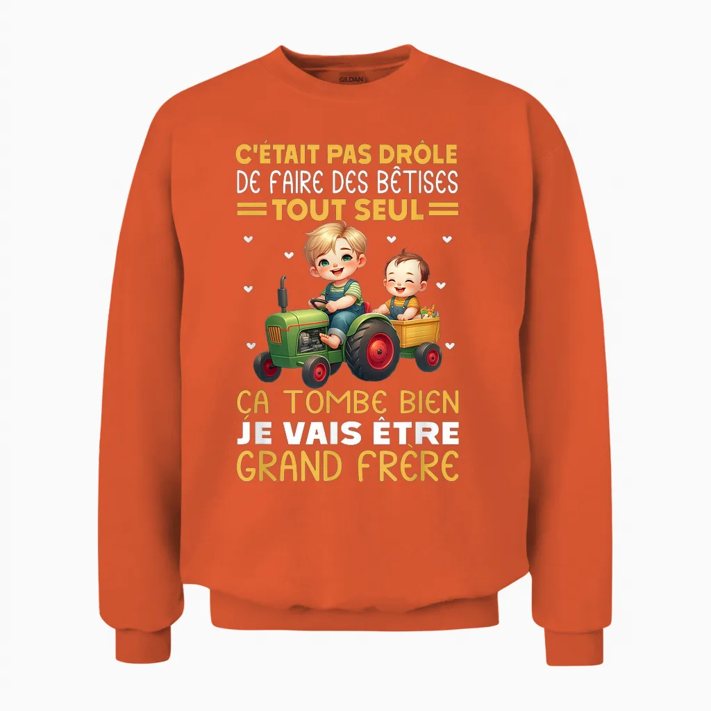 I Will Be a Big Brother Pregnancy Announcement T-Shirt, Black, S Unisex Sweatshirt in Orange