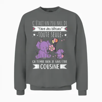 Future Cousine 2027 Gift Nouvelle Naissance Futur Cousine Unisex Sweatshirt - Graphite Heather