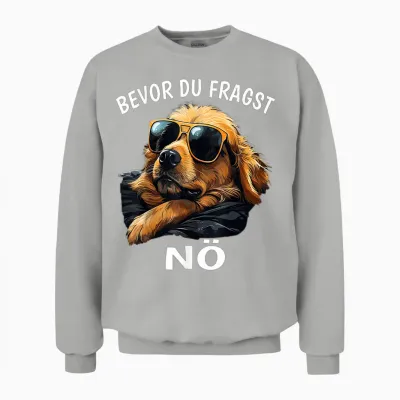 Bevor Du Fragst - Nö Lustiges Sarkasmus Hunde Kaffee Unisex Sweatshirt - Ash