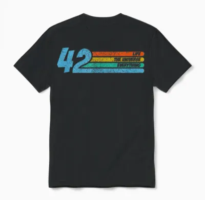42 the Answer Life Universe and Everything Funny Physics T-Shirt, Black Unisex T-Shirt - Black