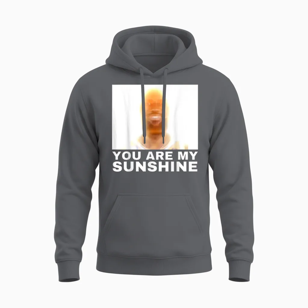 You Are My Sunshine Meme - Memes & Humor Unisex Hoodie in Charcoal