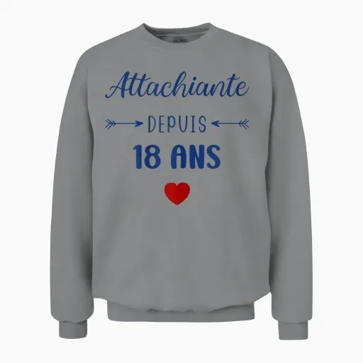 Attachiante 18 Years Birthday 18 Years Girl Teen Humour T-Shirt, White, Female X-Small Unisex Sweatshirt - Sport Grey