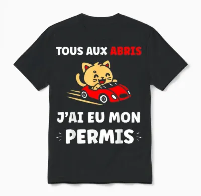 Driving Young Driver All in the Shelters I Got My License Unisex T-Shirt - Black