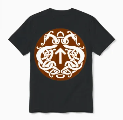 Tyr Rune Unisex T-Shirt - Black