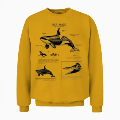 Orca Whale Anatomy Wall Lover Marine Biologist T-Shirt, White Unisex Sweatshirt - Gold