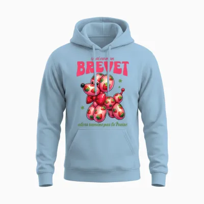 College Brevet 2025 Dog Strawberry Balloon and Success Unisex Hoodie - Light Blue