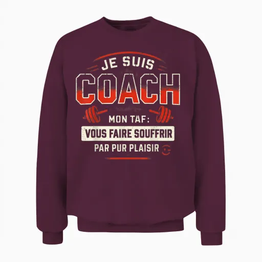 Gift Humour Coach Sport Bodybuilding Gym Original Funny Unisex Sweatshirt - Maroon
