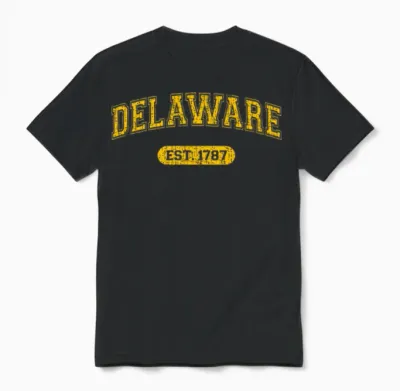 Retro Delaware 1787 Distressed Unisex T-Shirt - Black