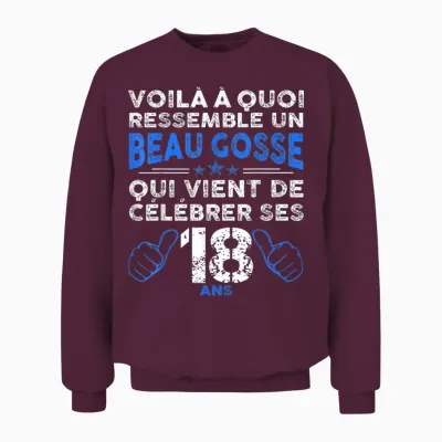 Birthday 18 Years Boy Funny | Anniv 18 Years T-Shirt, Black, S Unisex Sweatshirt - Maroon
