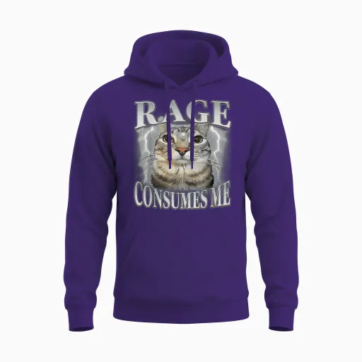 Rage Consumes Me Funny Silly Staring Cat Meme Unisex Hoodie - Purple