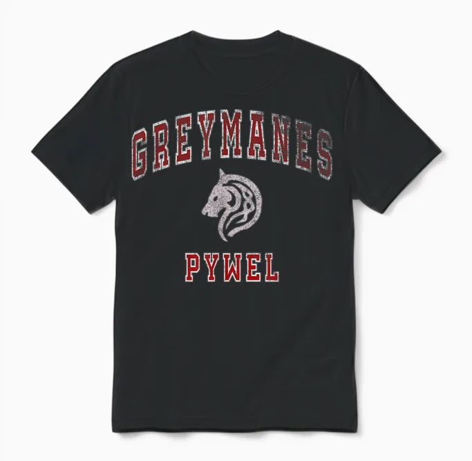 Distressed Greymanes Crimson Desert Pywel Funny Design Unisex T-Shirt in Black