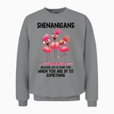Shenanigans Unisex Sweatshirt - Sport Grey