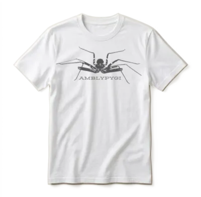 Arachnid Whispers - Amblypygi Unisex T-Shirt - White