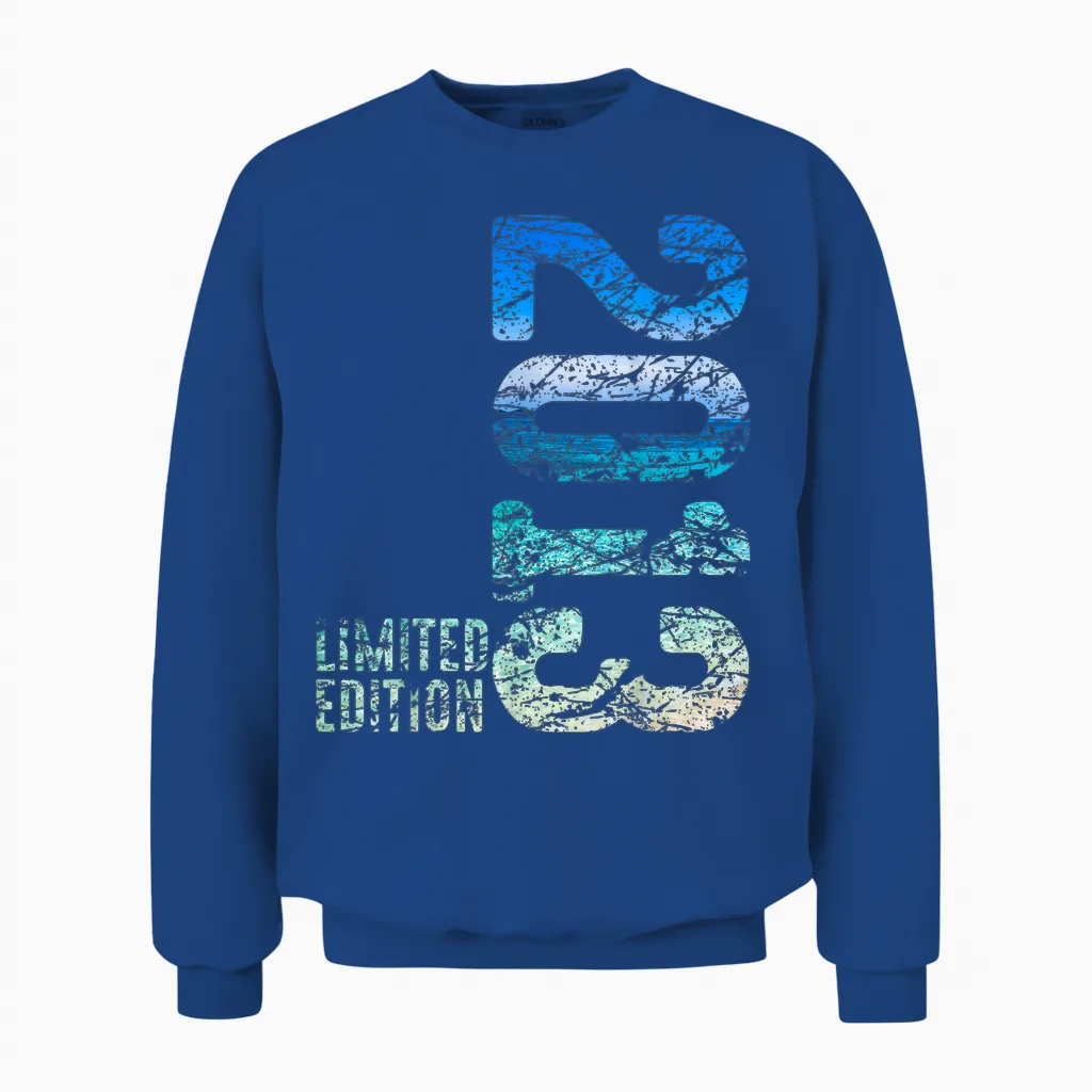 13. Geburtstag Junge Mädchen 13 Jahre 2013 Geschenk Lustig Unisex Sweatshirt in Royal