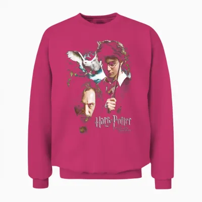 Harry Potter Harry and Sirius T-Shirt, Black, S Unisex Sweatshirt - Heliconia