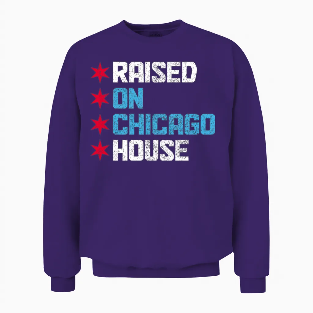 Chicago House Music Illinois Unisex Sweatshirt - Purple