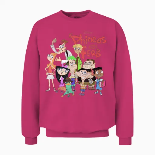 Disney Phineas and Ferb the Group Logo T-Shirt Small Unisex Sweatshirt in Heliconia