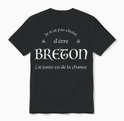 Funny Bretagne Je N'ai Pas Choisi Pas Choisi D'être Breton Breizh Unisex T-Shirt - Black