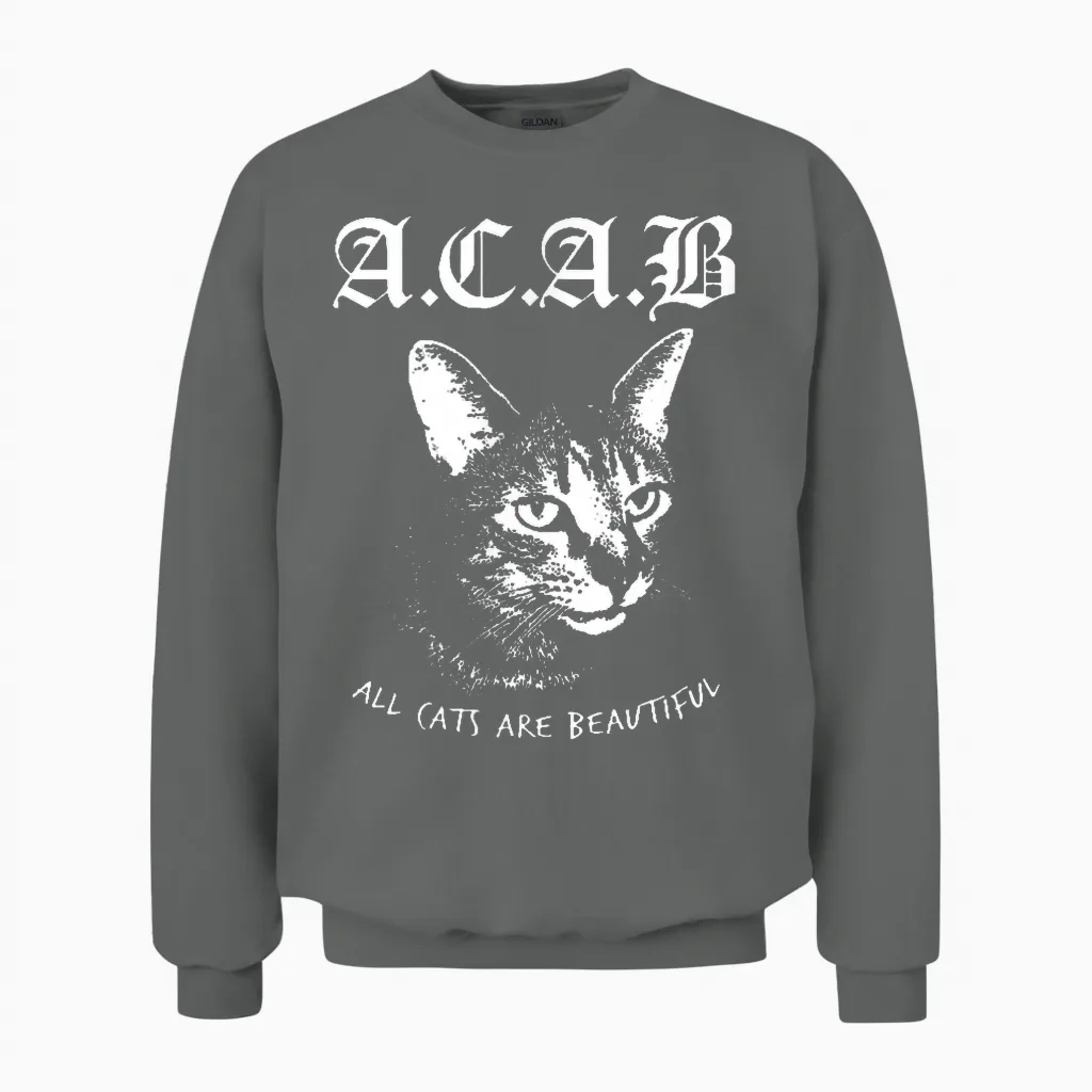 All Cats Are Beautiful Tshirt, 1312 Hoodie 1312 Pullover Unisex Sweatshirt in Graphite Heather